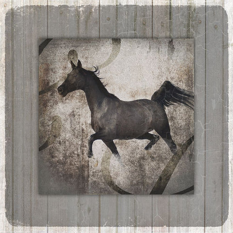 GypsyHorse Collection V1 12 Black Ornate Wood Framed Art Print with Double Matting by LightBoxJournal