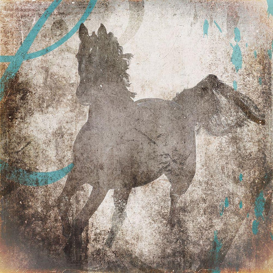 Image Only