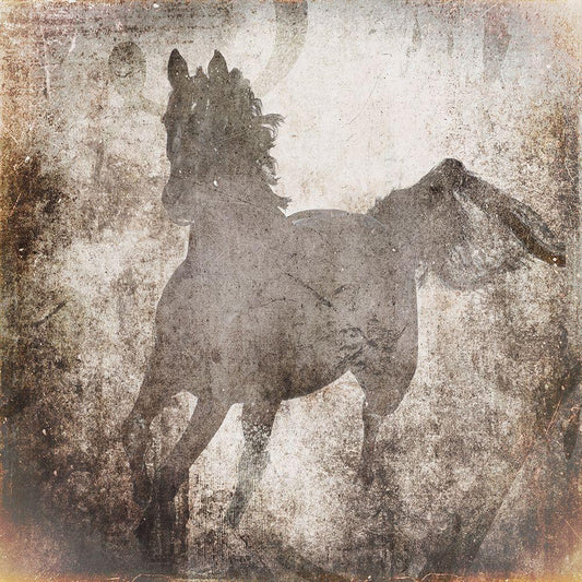 Image Only