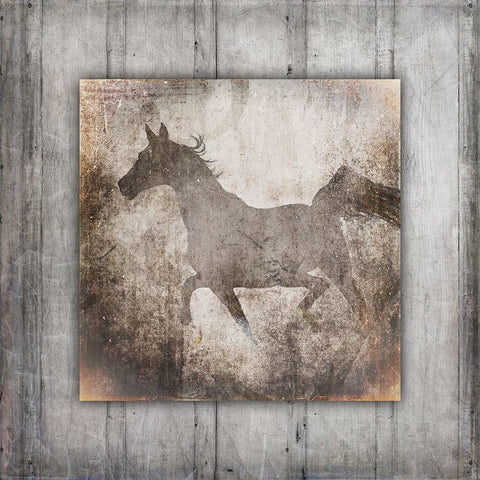 GypsyHorse Collection V2 11 Black Ornate Wood Framed Art Print with Double Matting by LightBoxJournal