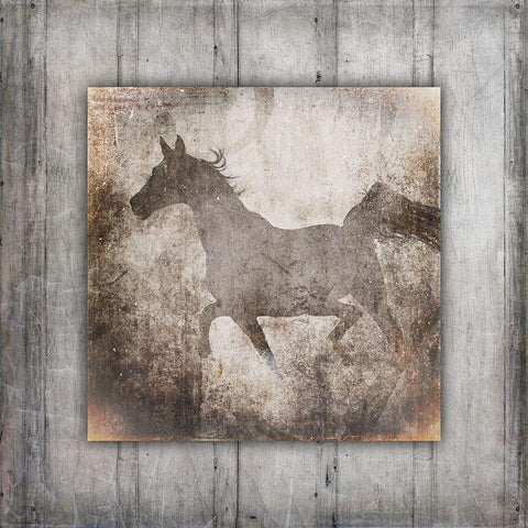 GypsyHorse Collection V2 11 Black Modern Wood Framed Art Print with Double Matting by LightBoxJournal