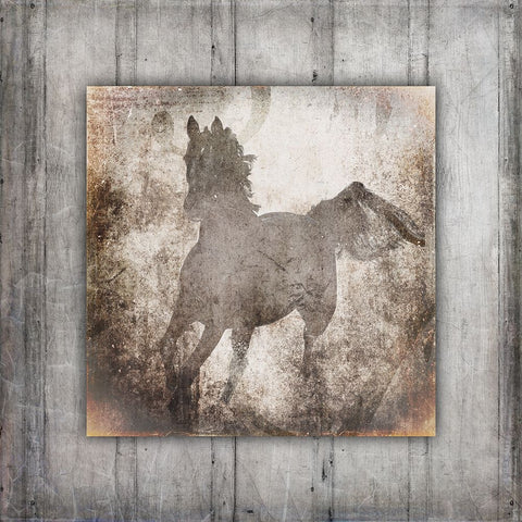 GypsyHorse Collection V2 12 Black Ornate Wood Framed Art Print with Double Matting by LightBoxJournal