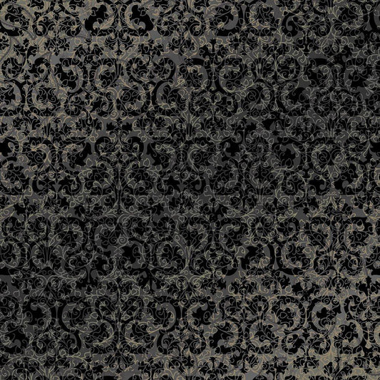 Image Only
