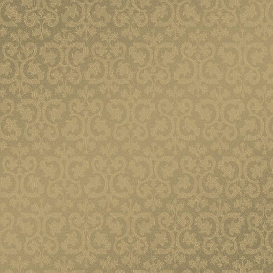 Image Only