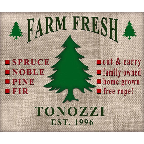 Personalized Christmas Sign V11 Black Modern Wood Framed Art Print with Double Matting by LightBoxJournal