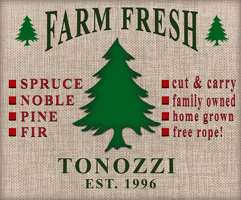 Personalized Christmas Sign V11 White Modern Wood Framed Art Print with Double Matting by LightBoxJournal