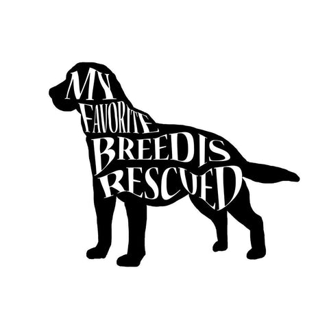 Rescue Dog 1 Black Modern Wood Framed Art Print with Double Matting by LightBoxJournal