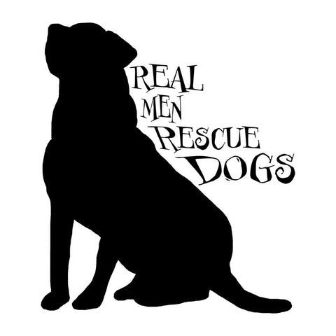 Rescue Dog 8 White Modern Wood Framed Art Print with Double Matting by LightBoxJournal