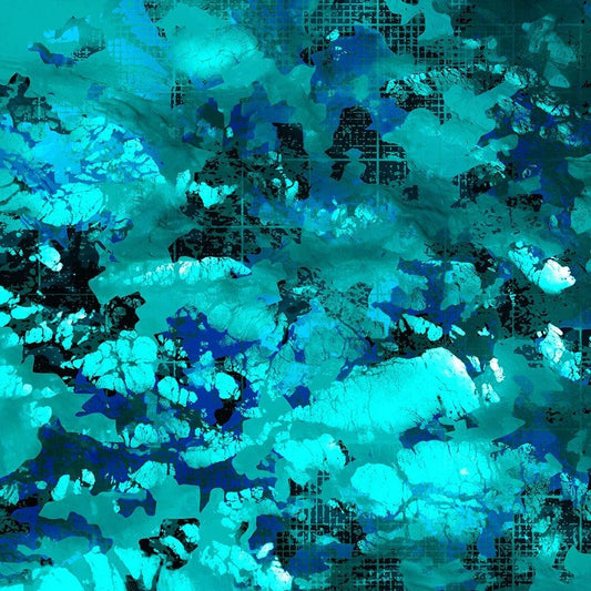 Image Only