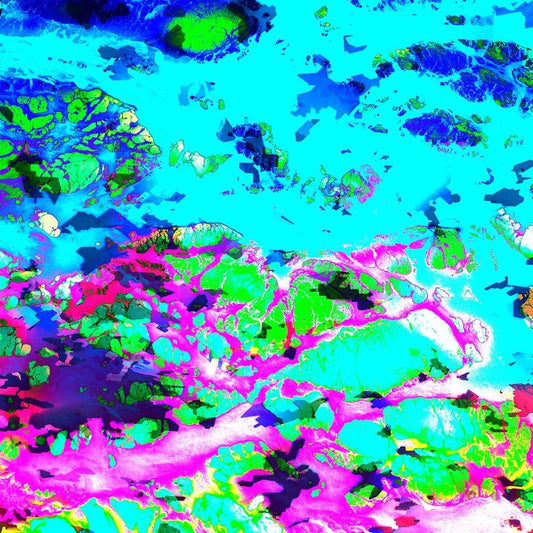 Image Only
