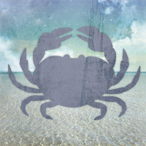 Signs_Crab White Modern Wood Framed Art Print by LightBoxJournal