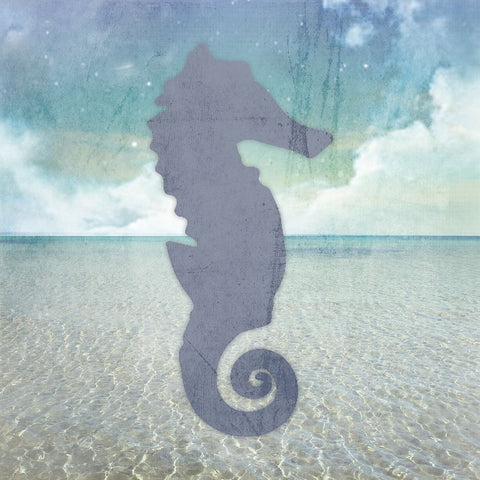 Signs_SeaHorse White Modern Wood Framed Art Print with Double Matting by LightBoxJournal