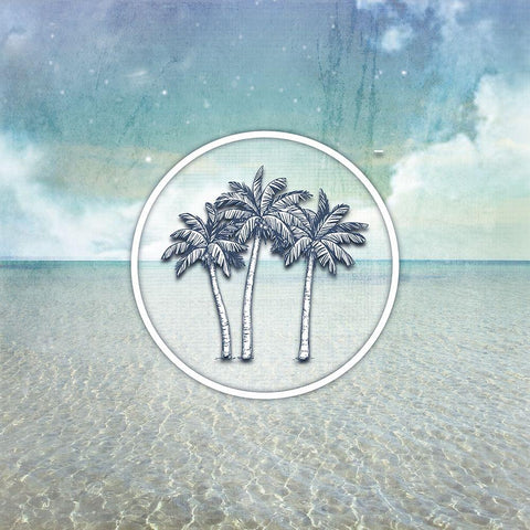 Signs_SeaLife_Palmtrees White Modern Wood Framed Art Print by LightBoxJournal