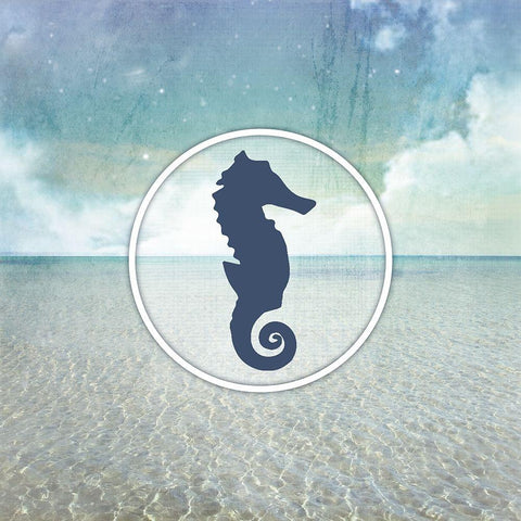 Signs_SeaLife_SeaHorse White Modern Wood Framed Art Print by LightBoxJournal