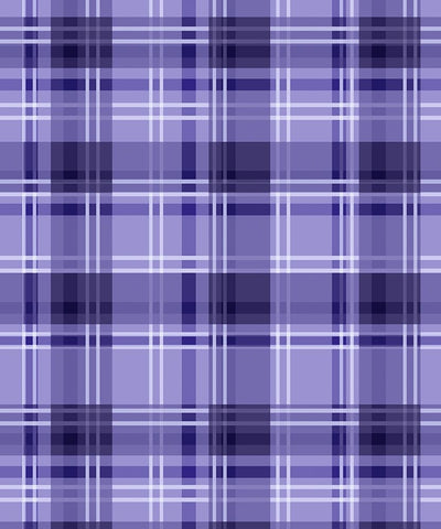 Ultra Violet Plaid 03 Black Ornate Wood Framed Art Print with Double Matting by LightBoxJournal