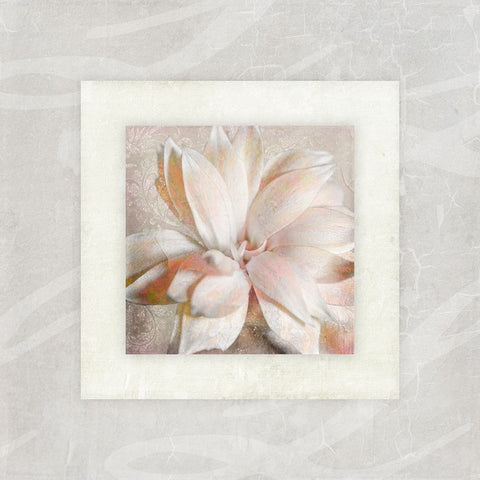 Pink Ivory Portrait 01 White Modern Wood Framed Art Print with Double Matting by LightBoxJournal