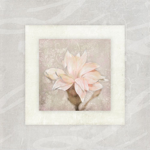 Pink Ivory Portrait 02 Black Ornate Wood Framed Art Print with Double Matting by LightBoxJournal