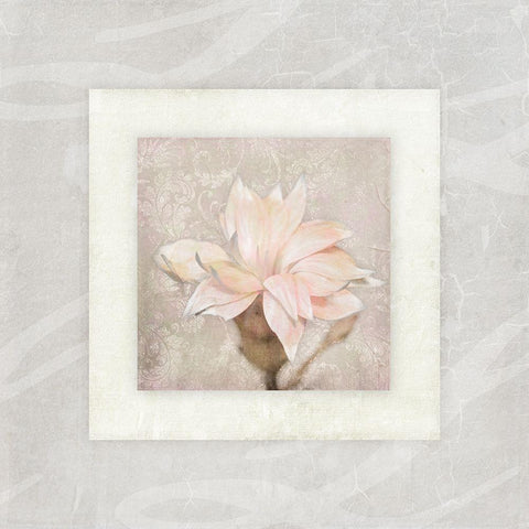 Pink Ivory Portrait 02 White Modern Wood Framed Art Print by LightBoxJournal