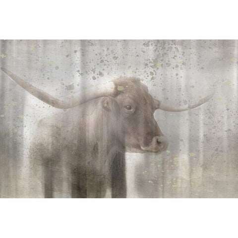 Antique Farm 19 White Modern Wood Framed Art Print by LightBoxJournal