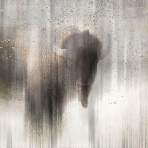 Antique Wildlife Buffalo Black Modern Wood Framed Art Print with Double Matting by LightBoxJournal