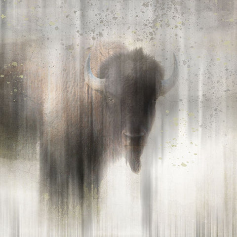 Antique Wildlife Buffalo Black Ornate Wood Framed Art Print with Double Matting by LightBoxJournal