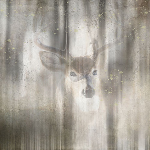 Antique Wildlife Deer 01 White Modern Wood Framed Art Print with Double Matting by LightBoxJournal