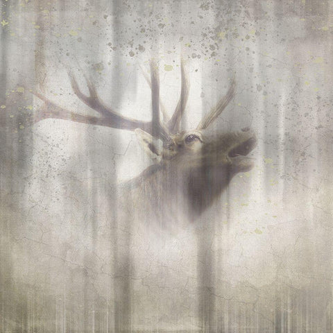 Antique Wildlife Elk 2 Black Modern Wood Framed Art Print with Double Matting by LightBoxJournal