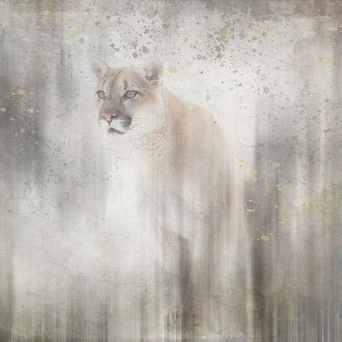 Antique Wildlife Lion White Modern Wood Framed Art Print with Double Matting by LightBoxJournal