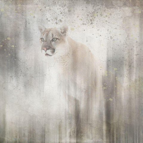 Antique Wildlife Lion Black Modern Wood Framed Art Print by LightBoxJournal