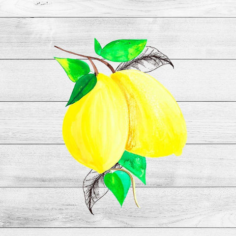 Farm Lemon 02 Black Modern Wood Framed Art Print with Double Matting by LightBoxJournal