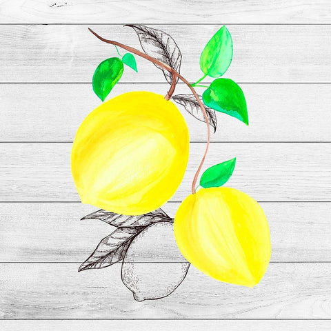 Farm Lemon 03 Gold Ornate Wood Framed Art Print with Double Matting by LightBoxJournal