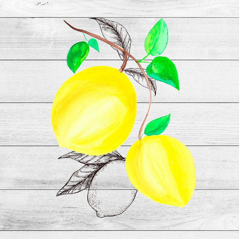 Farm Lemon 03 Black Ornate Wood Framed Art Print with Double Matting by LightBoxJournal