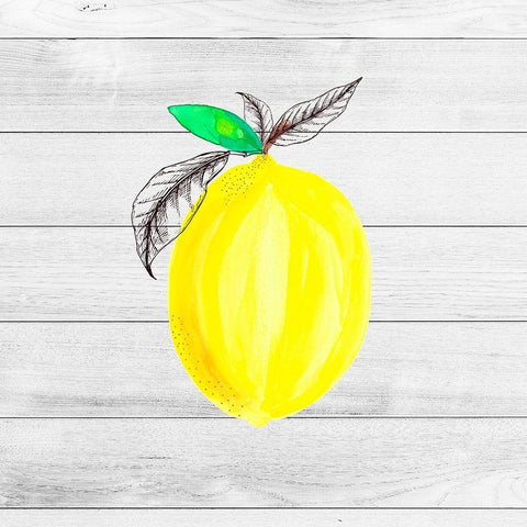 Farm Lemon 04 Black Modern Wood Framed Art Print with Double Matting by LightBoxJournal