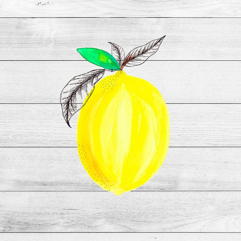 Farm Lemon 04 White Modern Wood Framed Art Print with Double Matting by LightBoxJournal