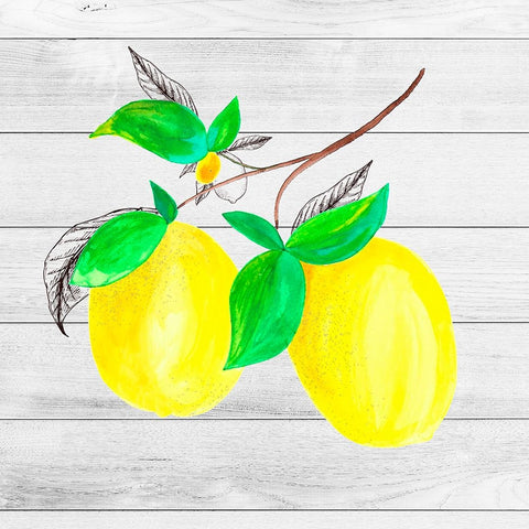 Farm Lemon 05 White Modern Wood Framed Art Print with Double Matting by LightBoxJournal