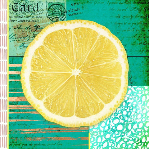 Gypsy Lemons 2 Black Modern Wood Framed Art Print with Double Matting by LightBoxJournal