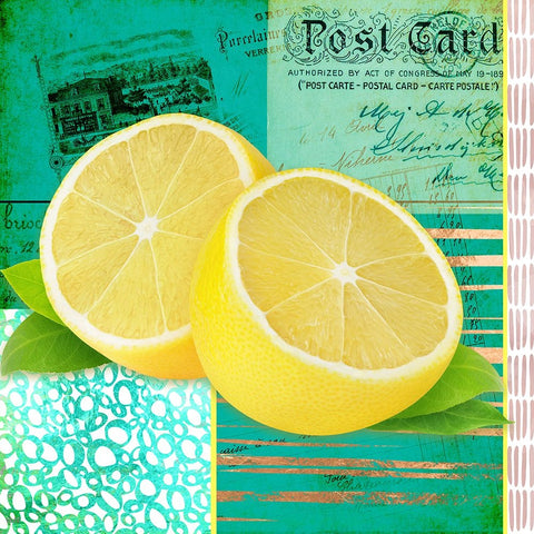 Gypsy Lemons 4 White Modern Wood Framed Art Print with Double Matting by LightBoxJournal