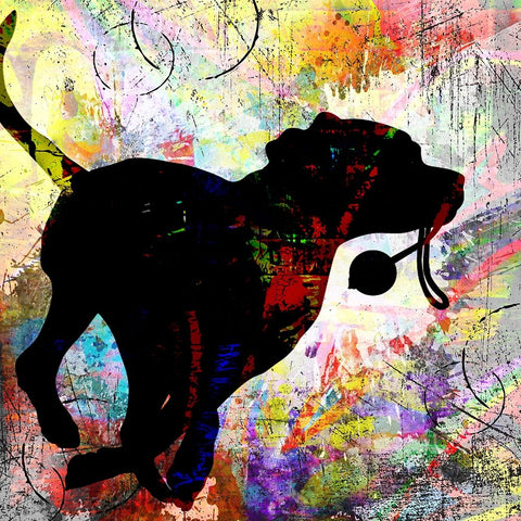 Playful Puppy 1 White Modern Wood Framed Art Print with Double Matting by LightBoxJournal