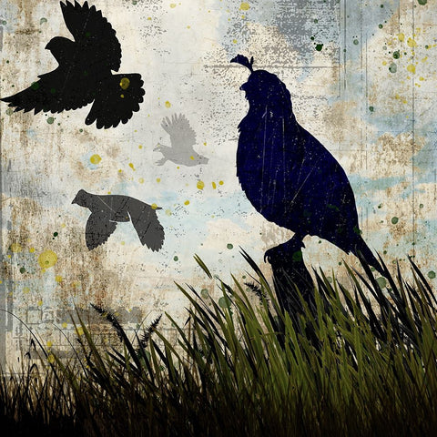 Classic Pointer 03 Quail Black Ornate Wood Framed Art Print with Double Matting by LightBoxJournal