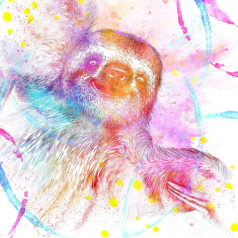 Painted Pink sloth Black Ornate Wood Framed Art Print with Double Matting by LightBoxJournal