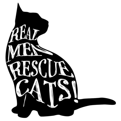 RescueCat 07 White Modern Wood Framed Art Print with Double Matting by LightBoxJournal