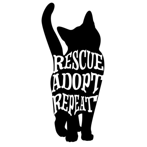 RescueCat 08 White Modern Wood Framed Art Print with Double Matting by LightBoxJournal