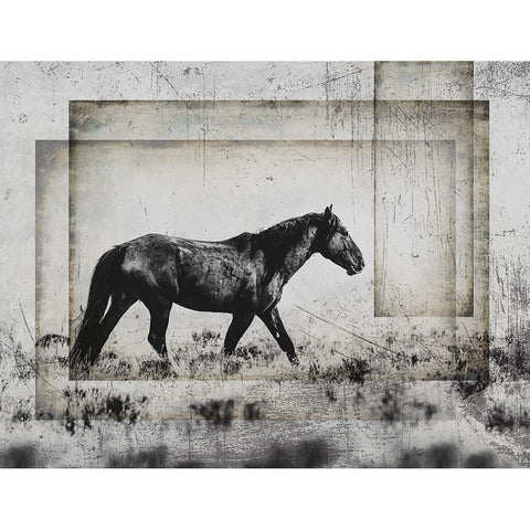 Wild Horses of the Great Basin 05 White Modern Wood Framed Art Print by LightBoxJournal