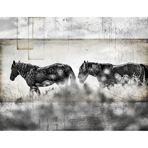 Wild Horses of the Great Basin 06 Black Modern Wood Framed Art Print with Double Matting by LightBoxJournal