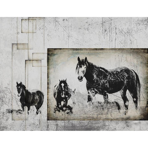 Wild Horses of the Great Basin 07 White Modern Wood Framed Art Print by LightBoxJournal