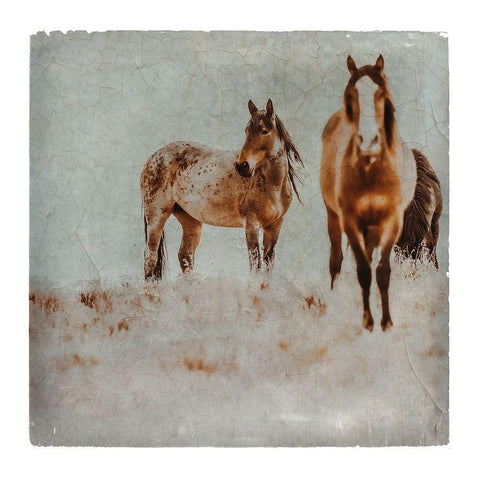 Wild Horses of the Great Basin Lomography 03 Black Modern Wood Framed Art Print with Double Matting by LightBoxJournal