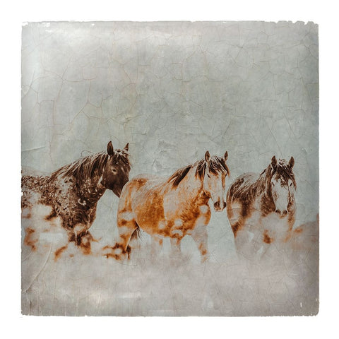 Wild Horses of the Great Basin Lomography 04 Black Ornate Wood Framed Art Print with Double Matting by LightBoxJournal