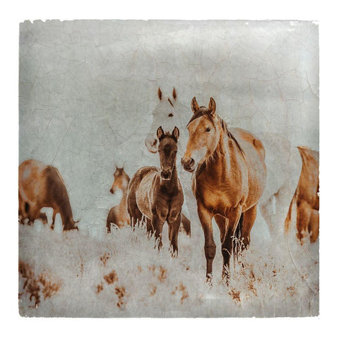 Wild Horses of the Great Basin Lomography 06 Gold Ornate Wood Framed Art Print with Double Matting by LightBoxJournal