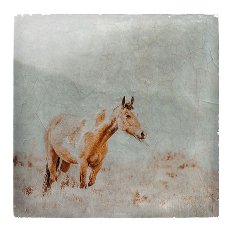 Wild Horses of the Great Basin Lomography 07 White Modern Wood Framed Art Print with Double Matting by LightBoxJournal