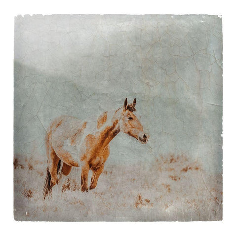 Wild Horses of the Great Basin Lomography 07 White Modern Wood Framed Art Print by LightBoxJournal